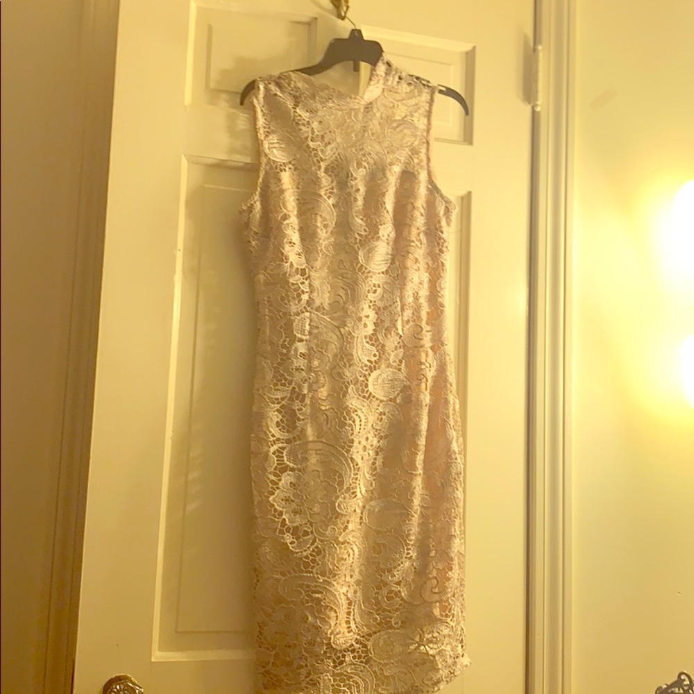 Light Pick Lace Bodycon Formal Dress